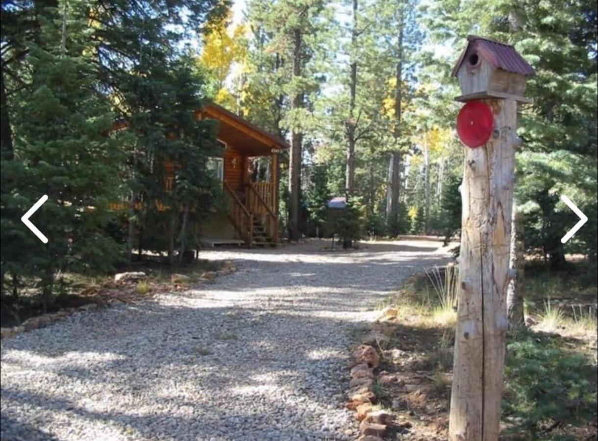 Adventure Awaits 3King Bed,2Bath Log Cabin In Heart Of Duck Creek Village! Bagian luar foto
